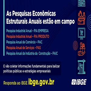 IBGE Realiza as Pesquisas Econômicas Estruturais Anuais Até 15/08