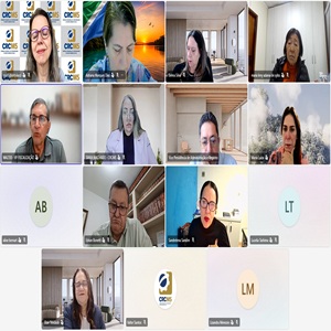 Conselheiros do CFC Prestigiam a 9ª Reunião Plenária do CRCMS